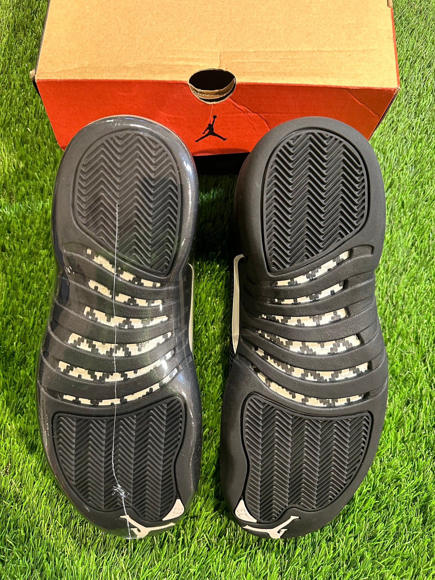 Jordan 12 Retro The Master