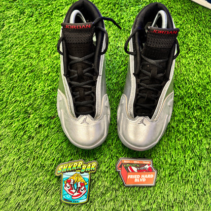 Jordan 14 Retro Metallic Silver (Women's)