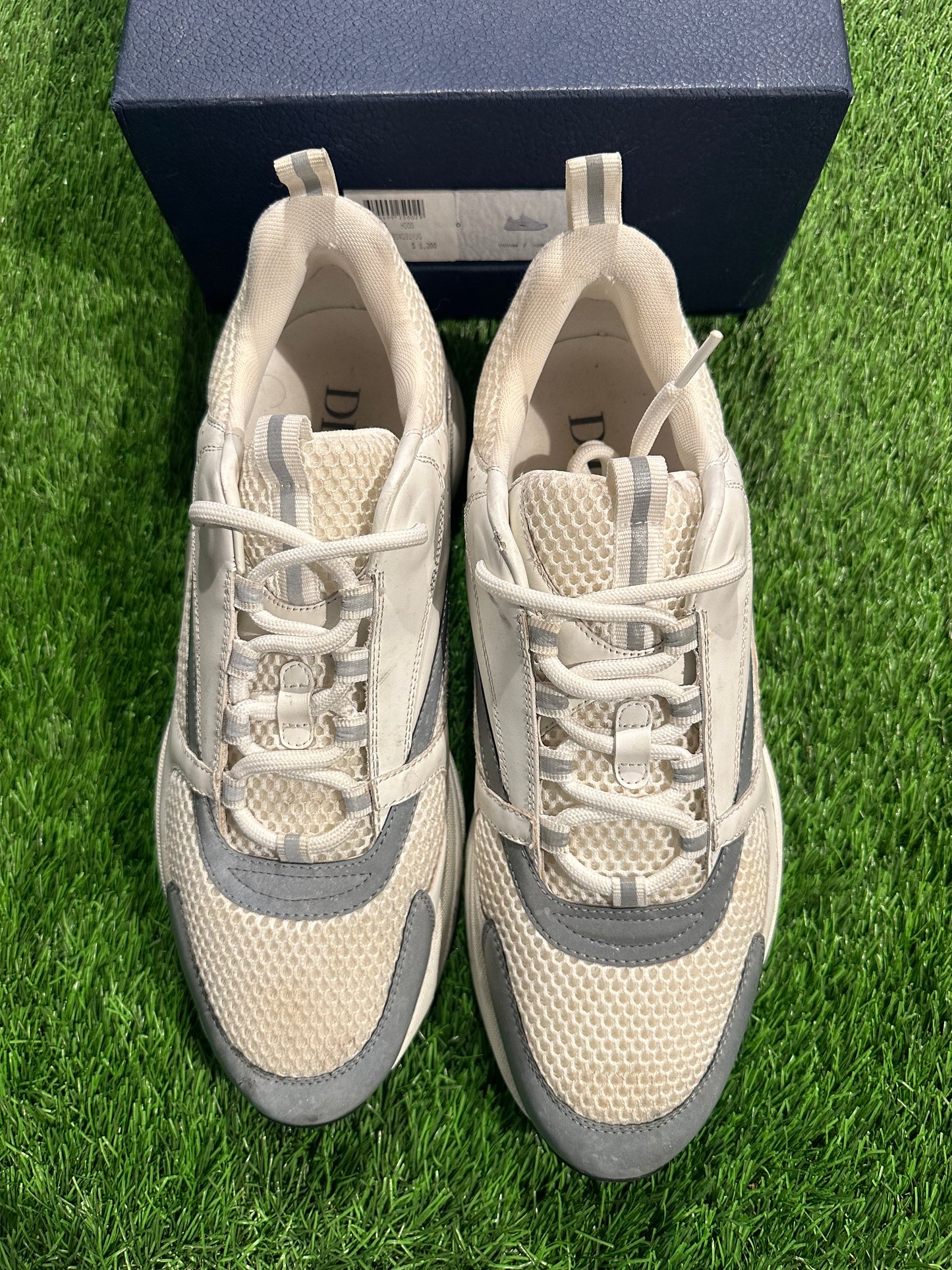 Dior B22 White Silver