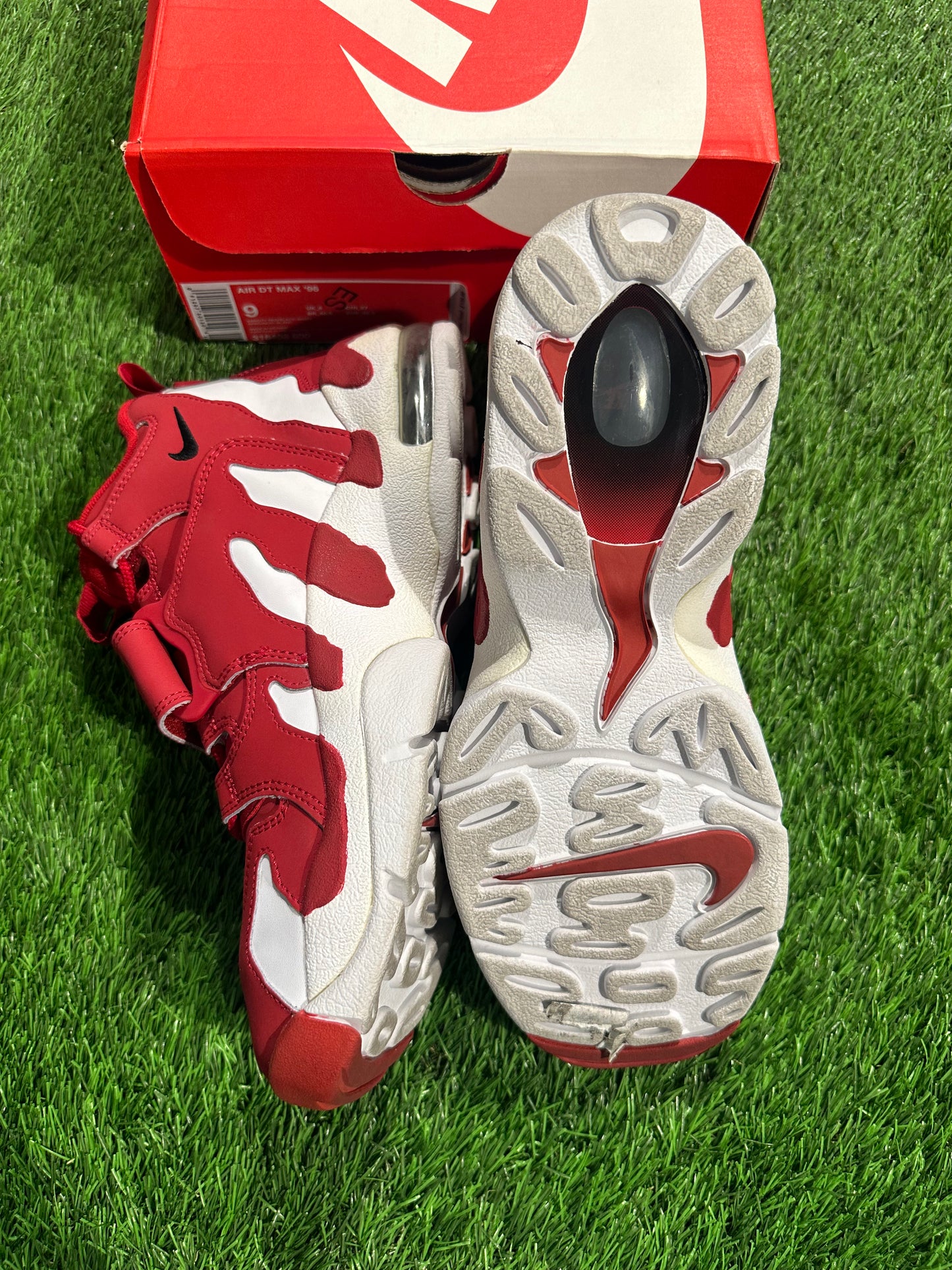 Air DT Max 96 'Varsity Red'