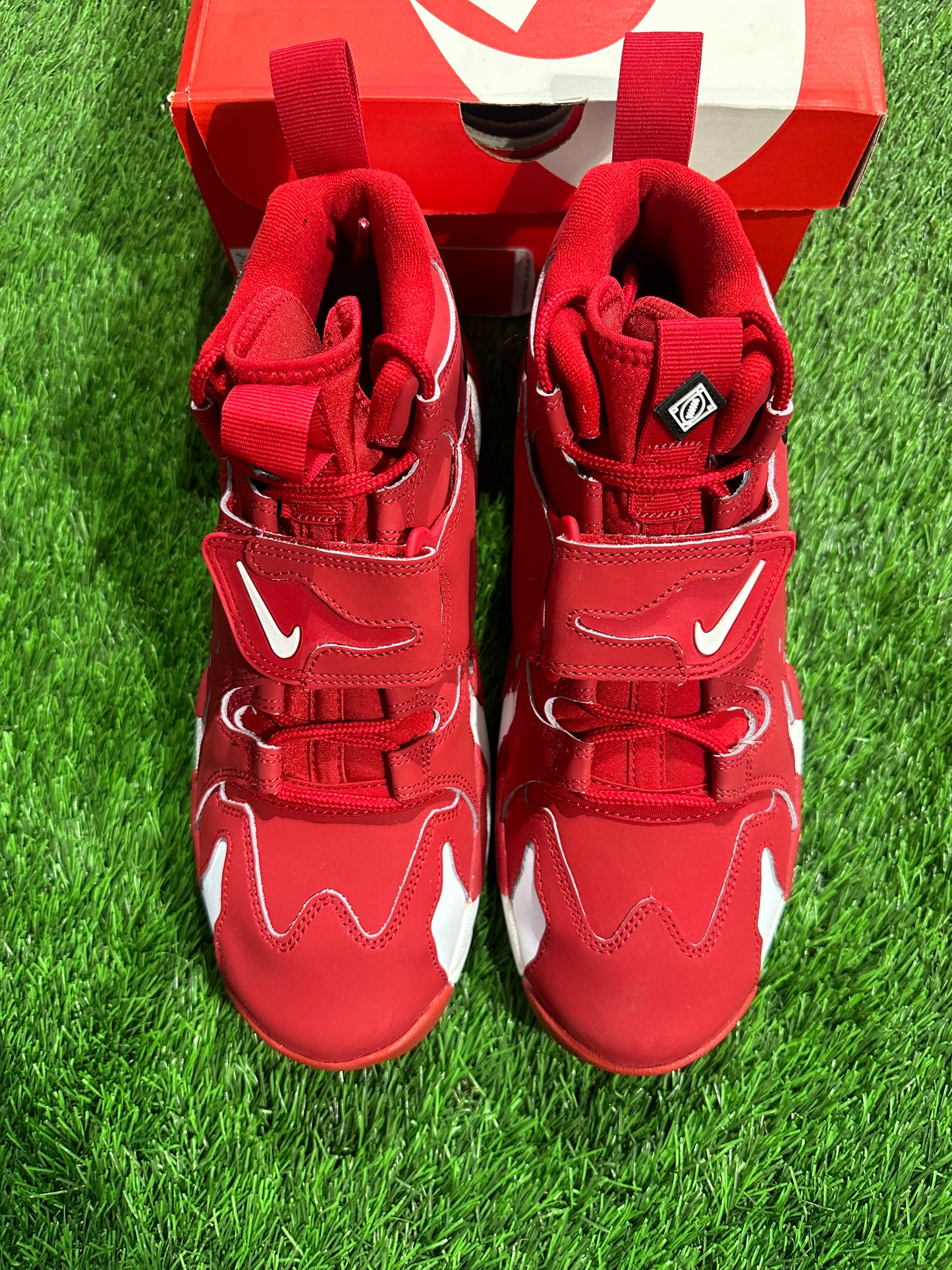 Air DT Max 96 'Varsity Red'