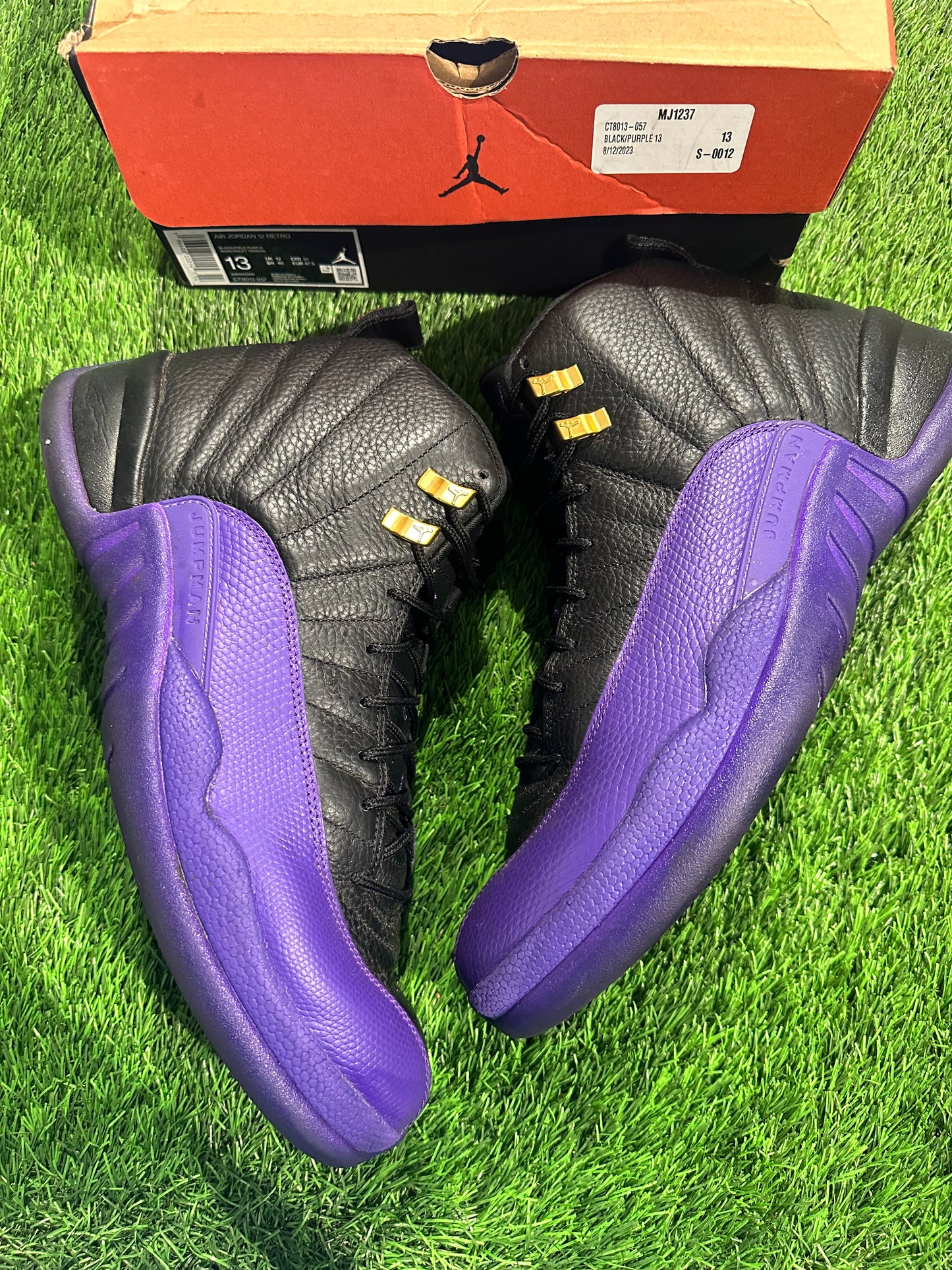 Jordan 12 Retro Field Purple