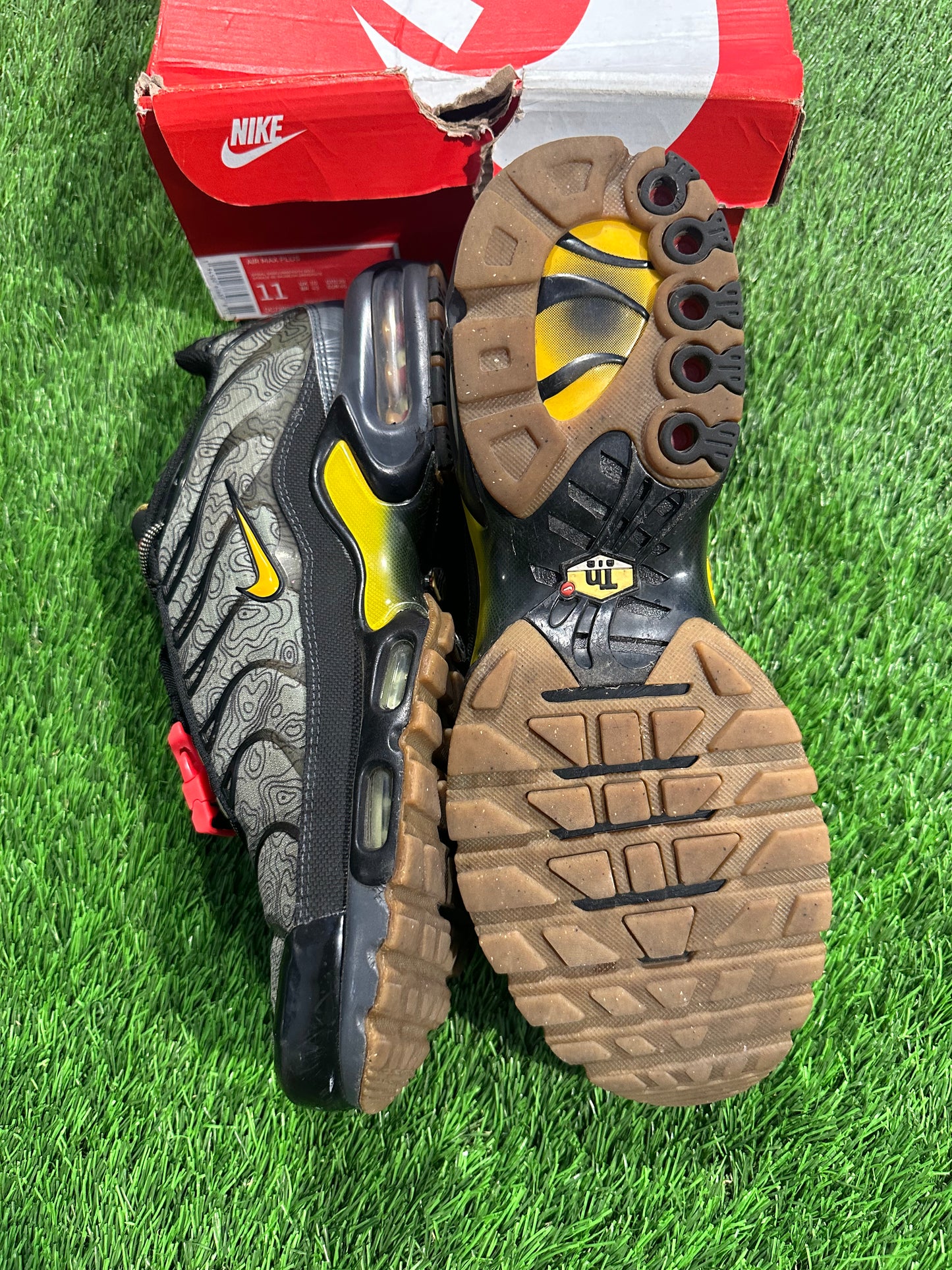 Nike Air Max Plus Fresh Perspective