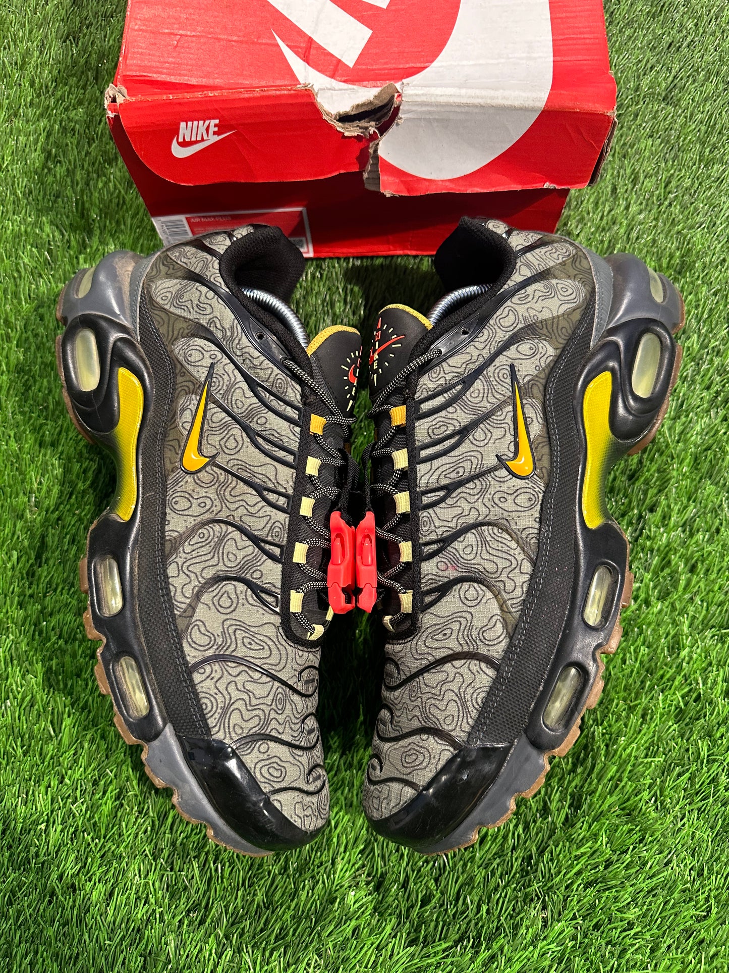 Nike Air Max Plus Fresh Perspective