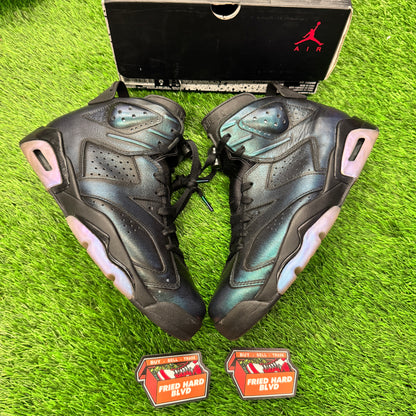 Jordan 6 Retro All-Star Chameleon (2017) SIZE 9M/10.5W