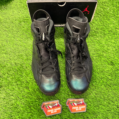 Jordan 6 Retro All-Star Chameleon (2017) SIZE 9M/10.5W