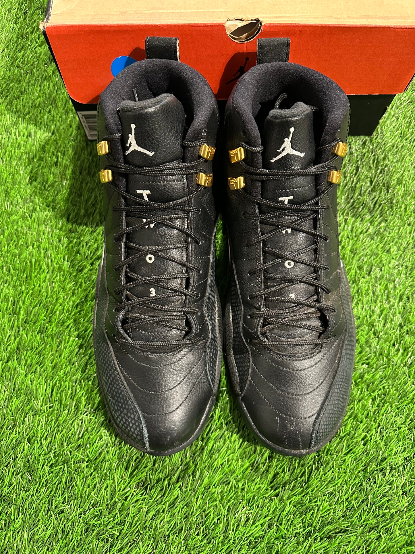 Jordan 12 Retro The Master