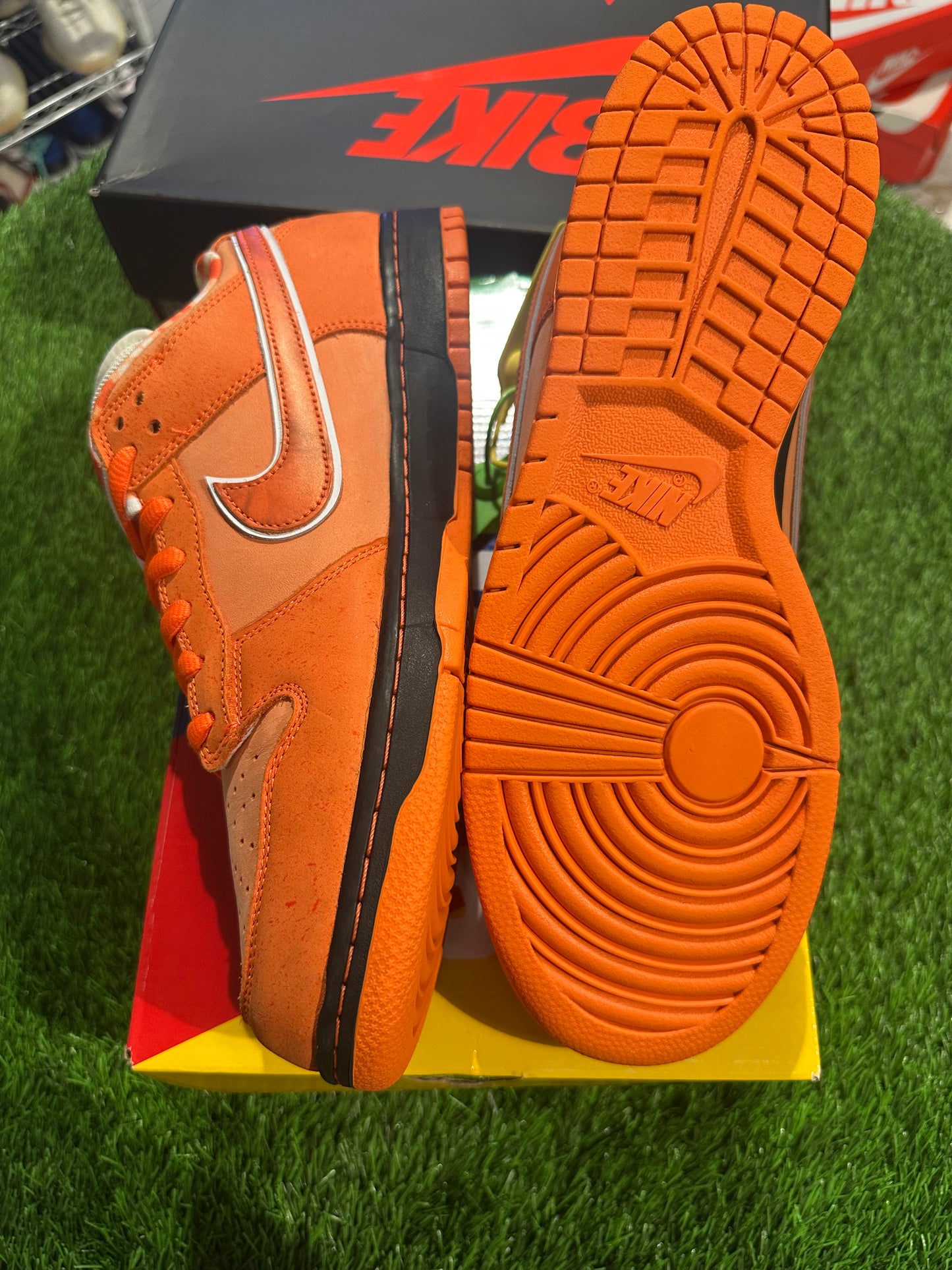 Nike SB Dunk Low Concepts Orange Lobster
