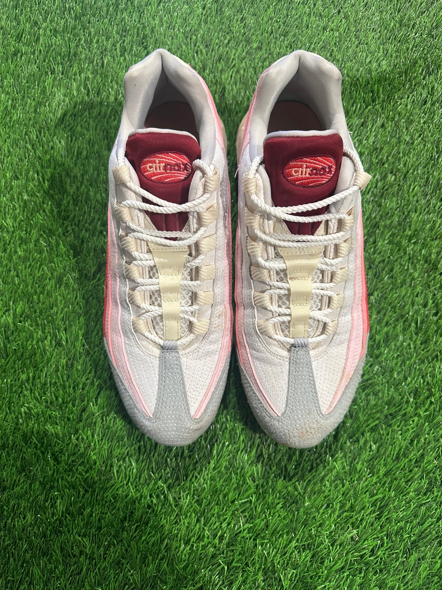 Nike Air Max 95 Anatomy of Air GID