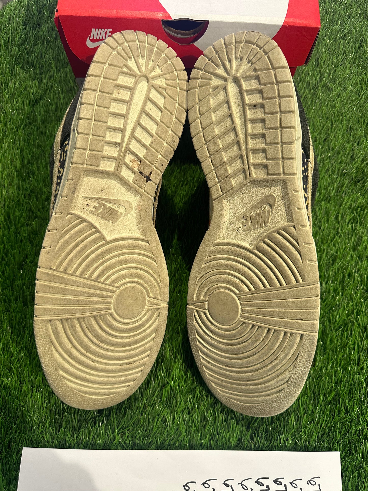 Nike Dunk Low SE Gone Fishing Rainbow Trout