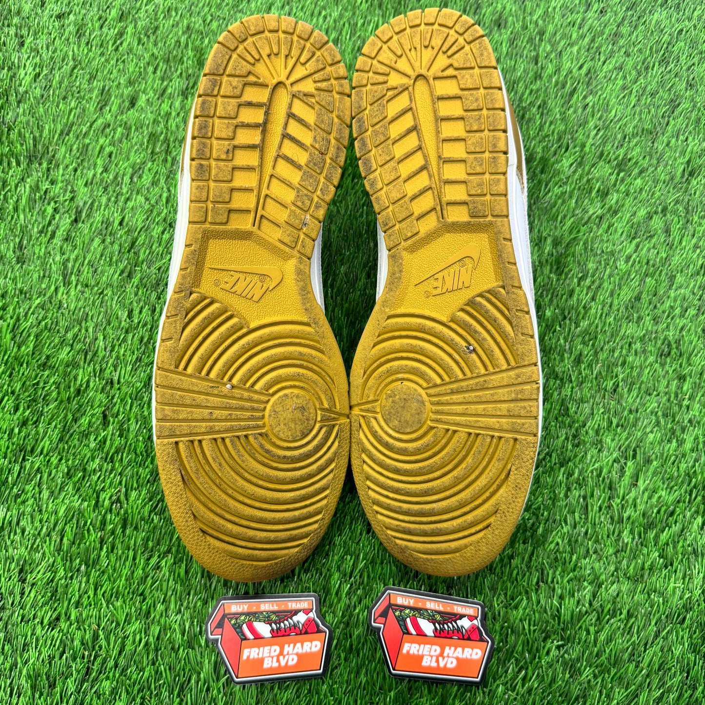 Dunk Low Retro Bronzine SIZE 12M/13.5W