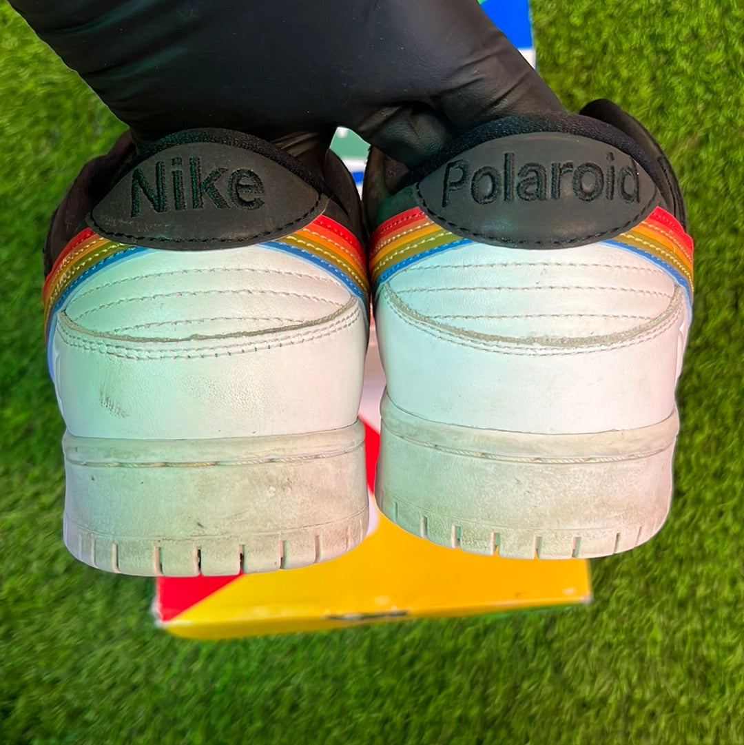 Polaroid x Dunk Low SB