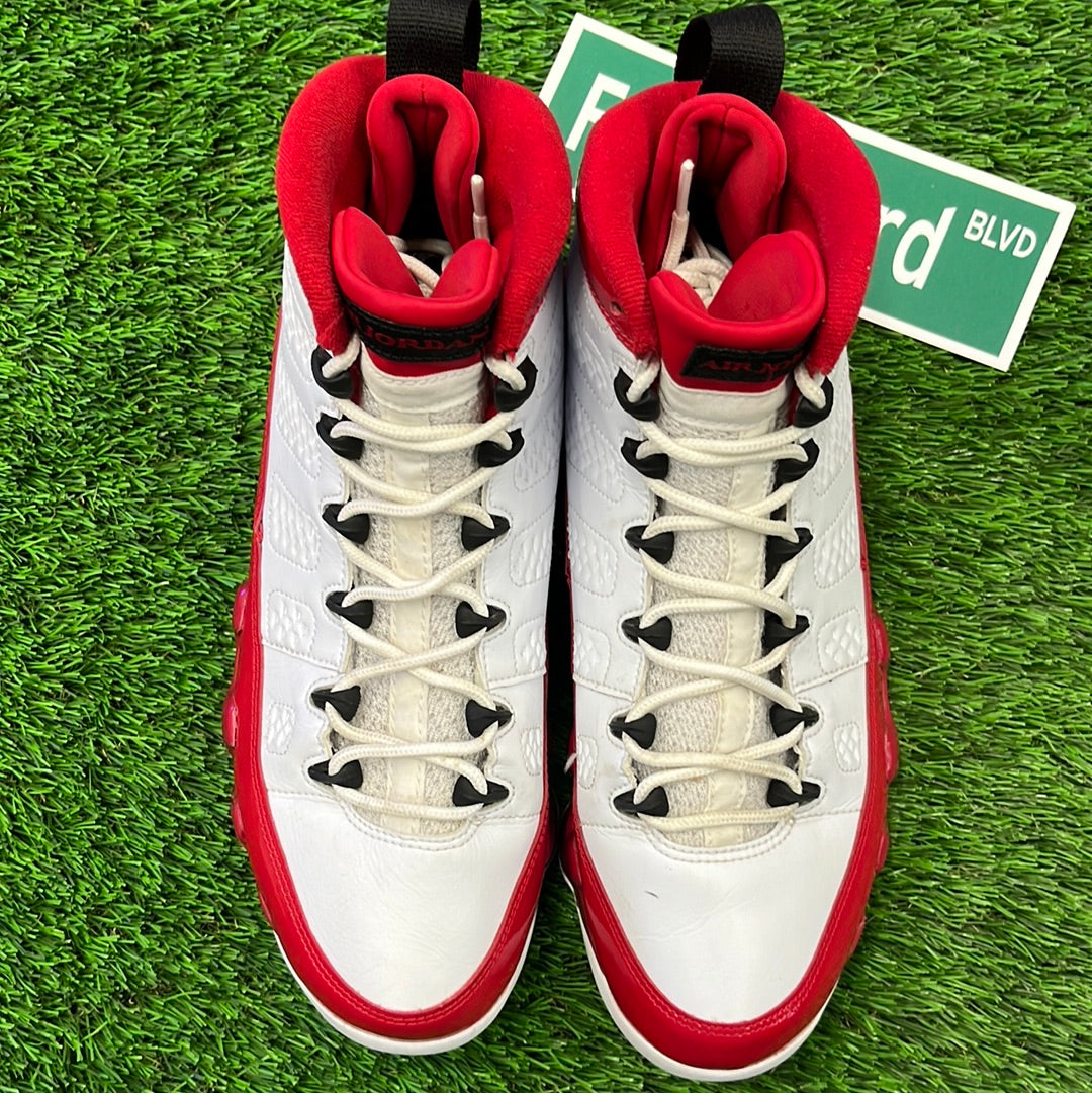 Air Jordan 9 Retro 'Gym Red'