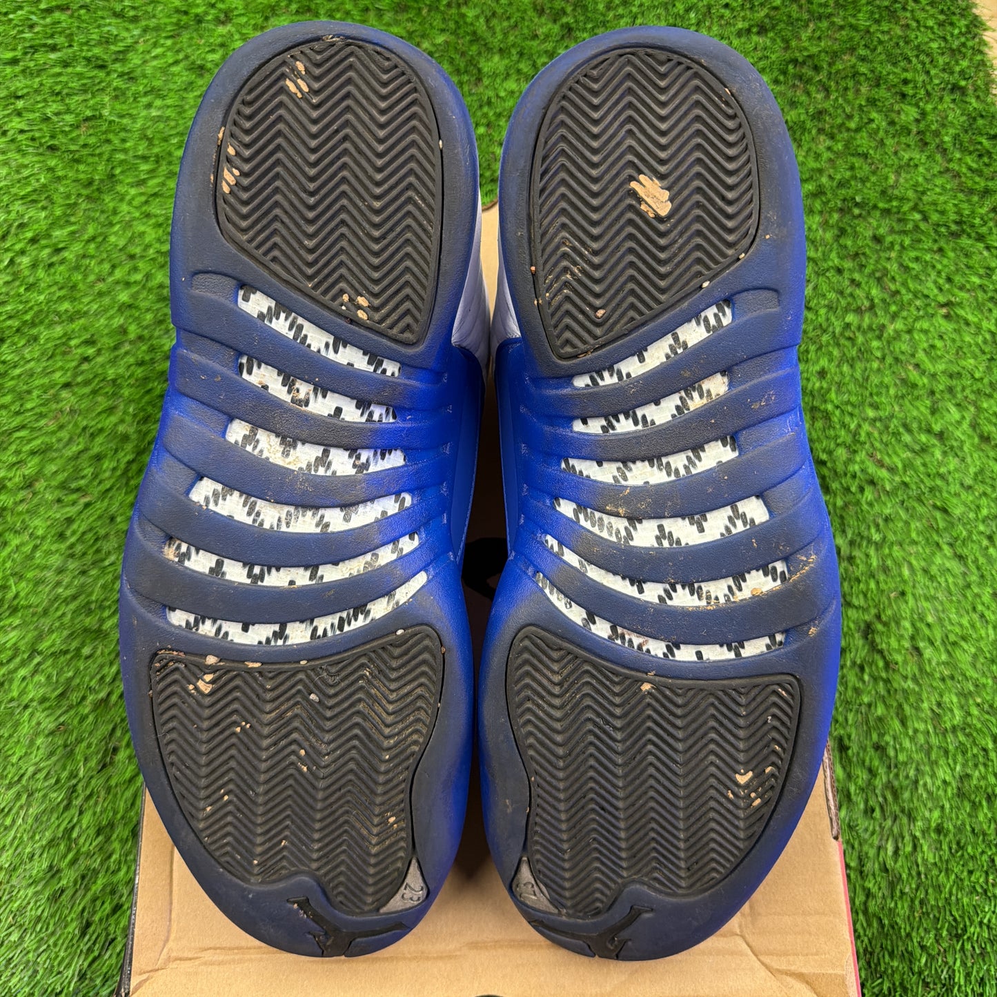 Air Jordan 12 Retro 'Blueberry'