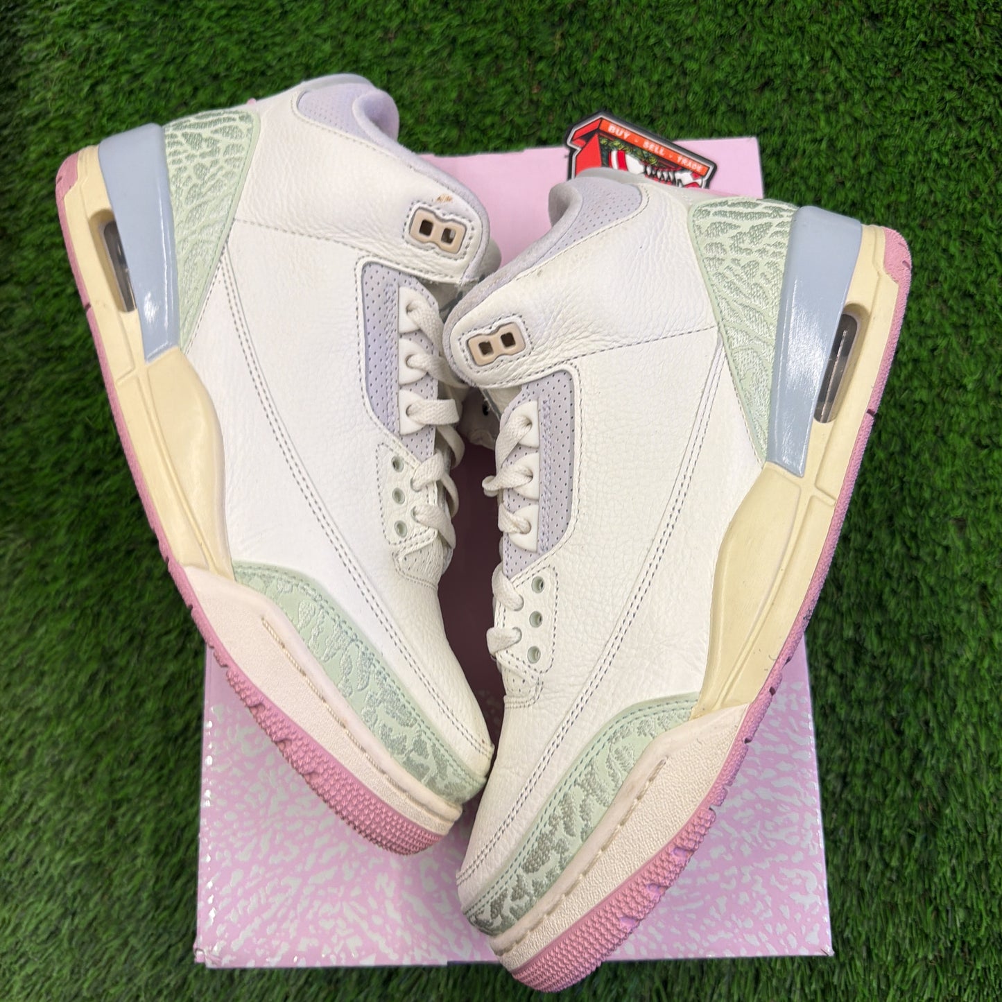 Air Jordan 3 Retro 'Spring is In The Air'