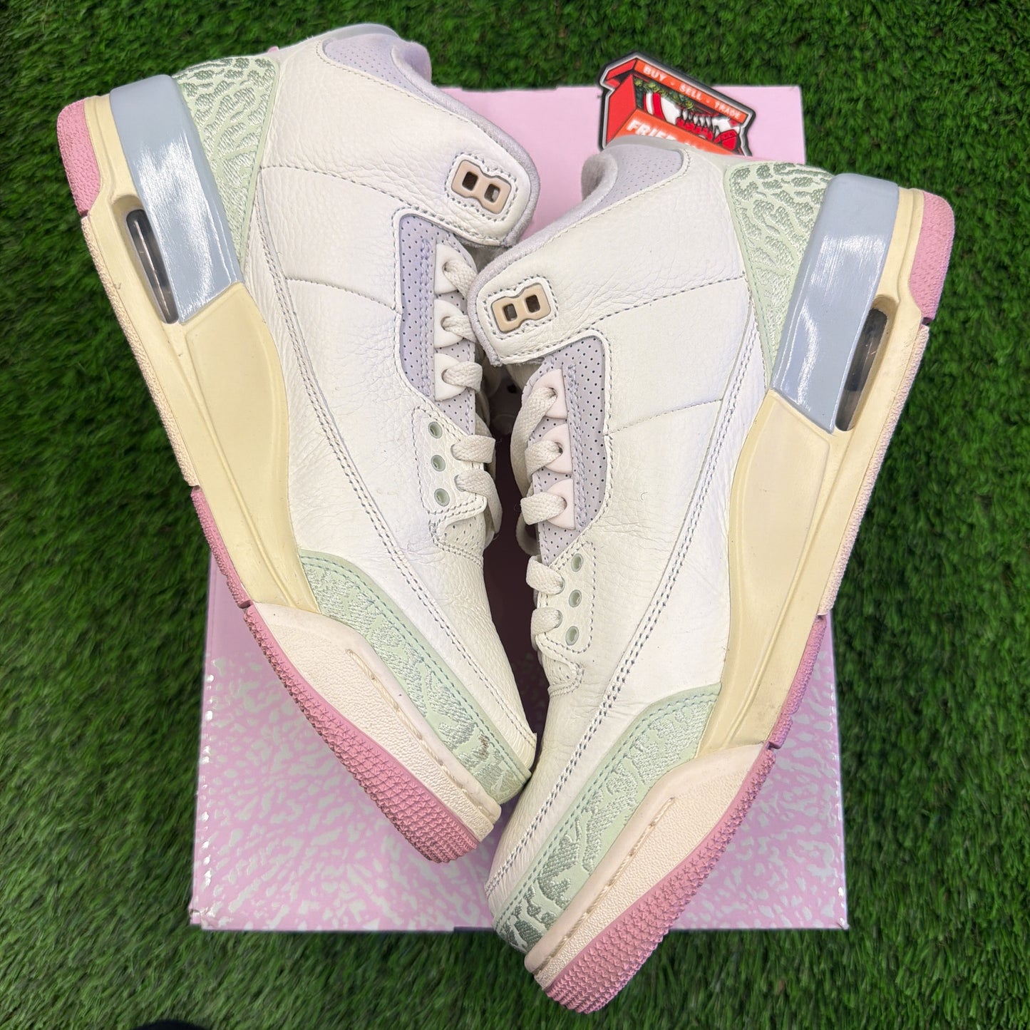 Air Jordan 3 Retro 'Spring is In The Air'