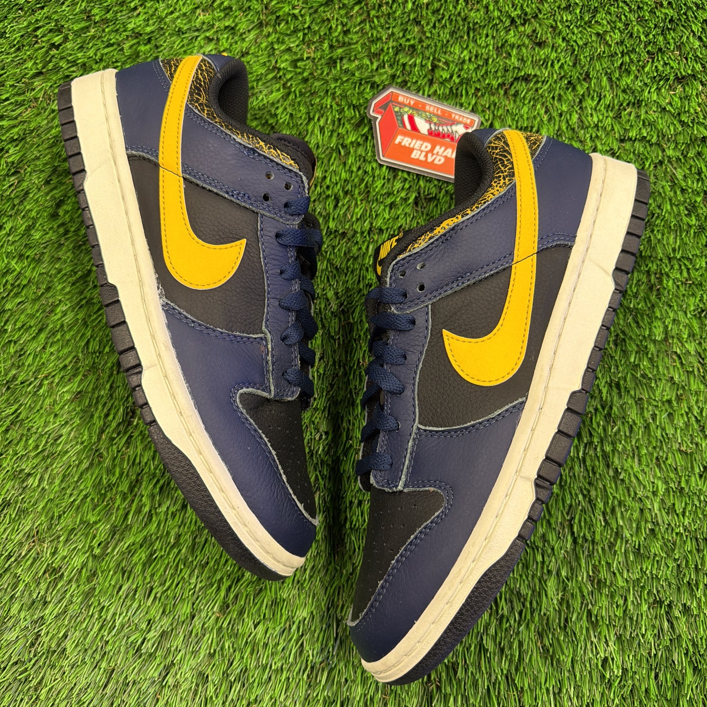 Nike Dunk Low 'Vintage Michigan'
