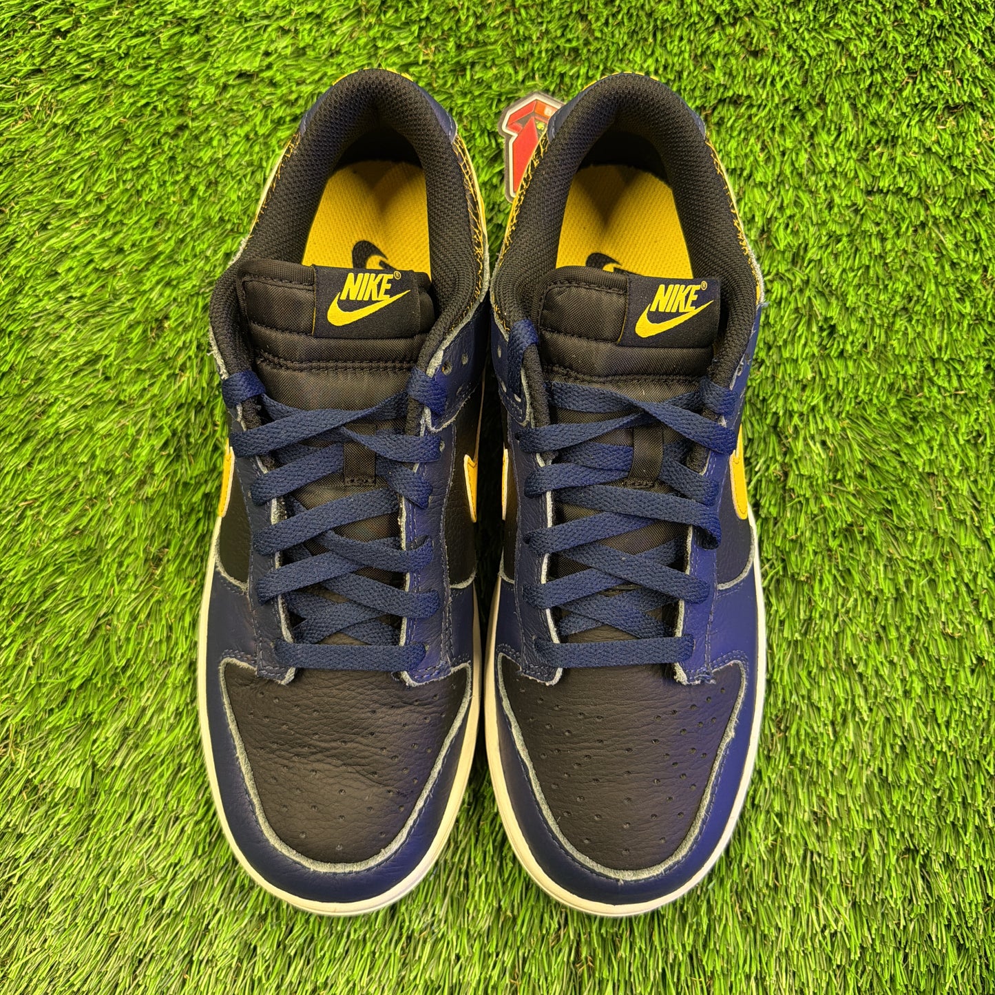 Nike Dunk Low 'Vintage Michigan'