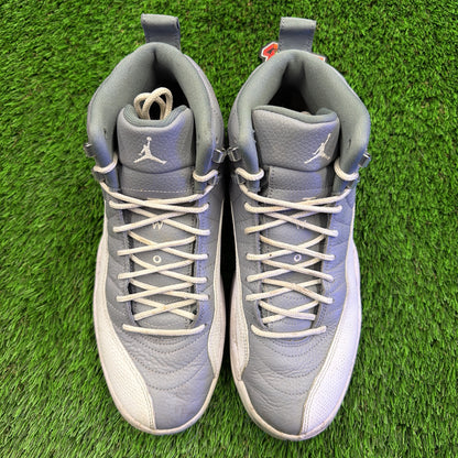 Air Jordan 12 Retro 'Stealth'
