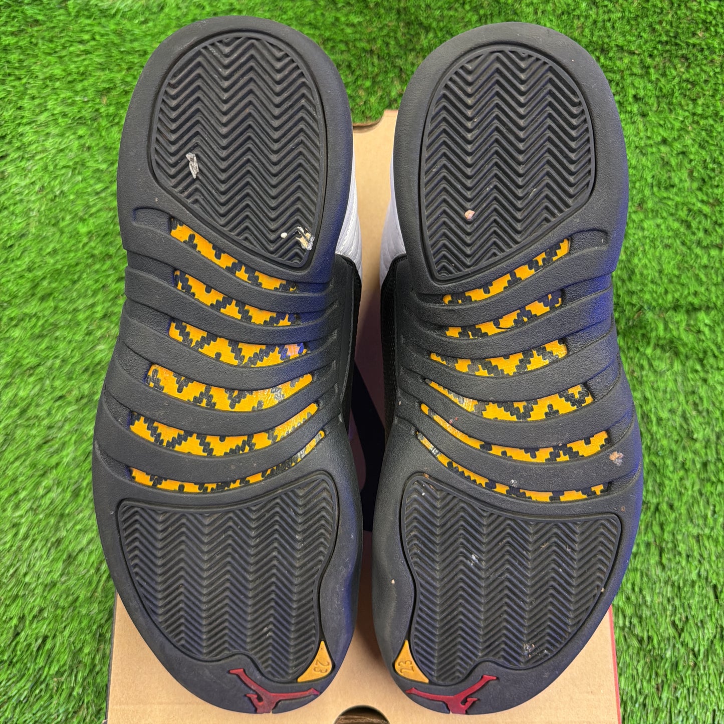 Jordan 12 Retro Taxi (2025) 12M/13.5W