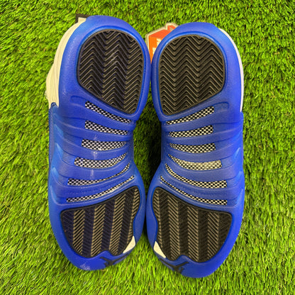 Air Jordan 12 Retro GS 'Blueberry'