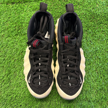 Nike Air Foamposite Pro 'Class of 97'