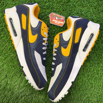 Nike Air Max 90 'Dunk From Above'