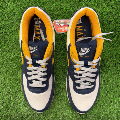 Nike Air Max 90 'Dunk From Above'