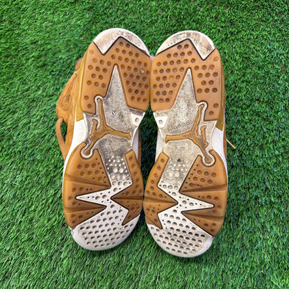 Air Jordan 6 Retro 'Wheat' (GS)