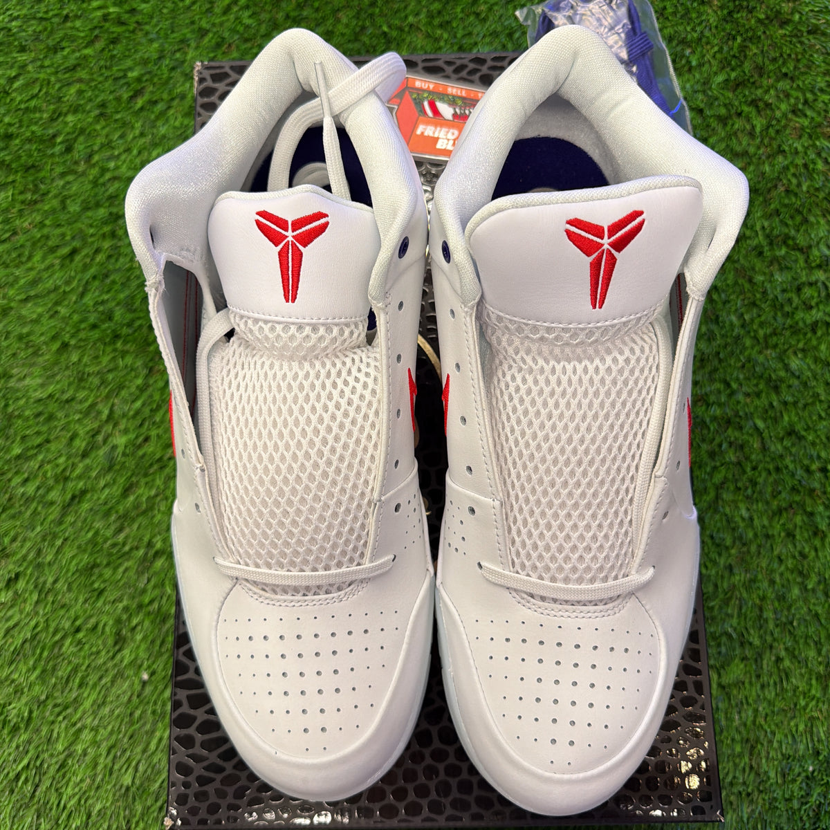Nike Kobe 4 Protro 'Draft Day Pack - Toronto Raptors'