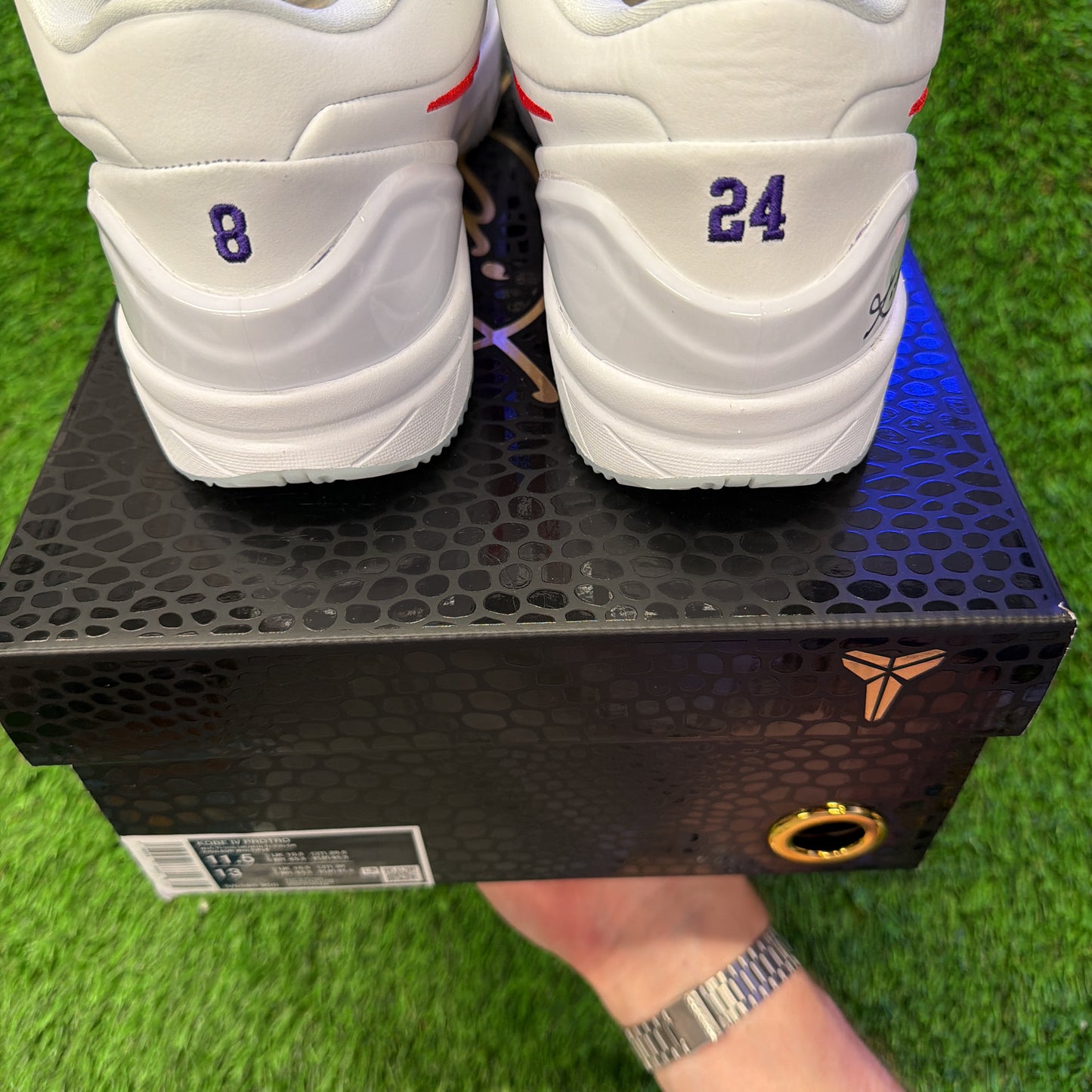 Nike Kobe 4 Protro 'Draft Day Pack - Toronto Raptors'