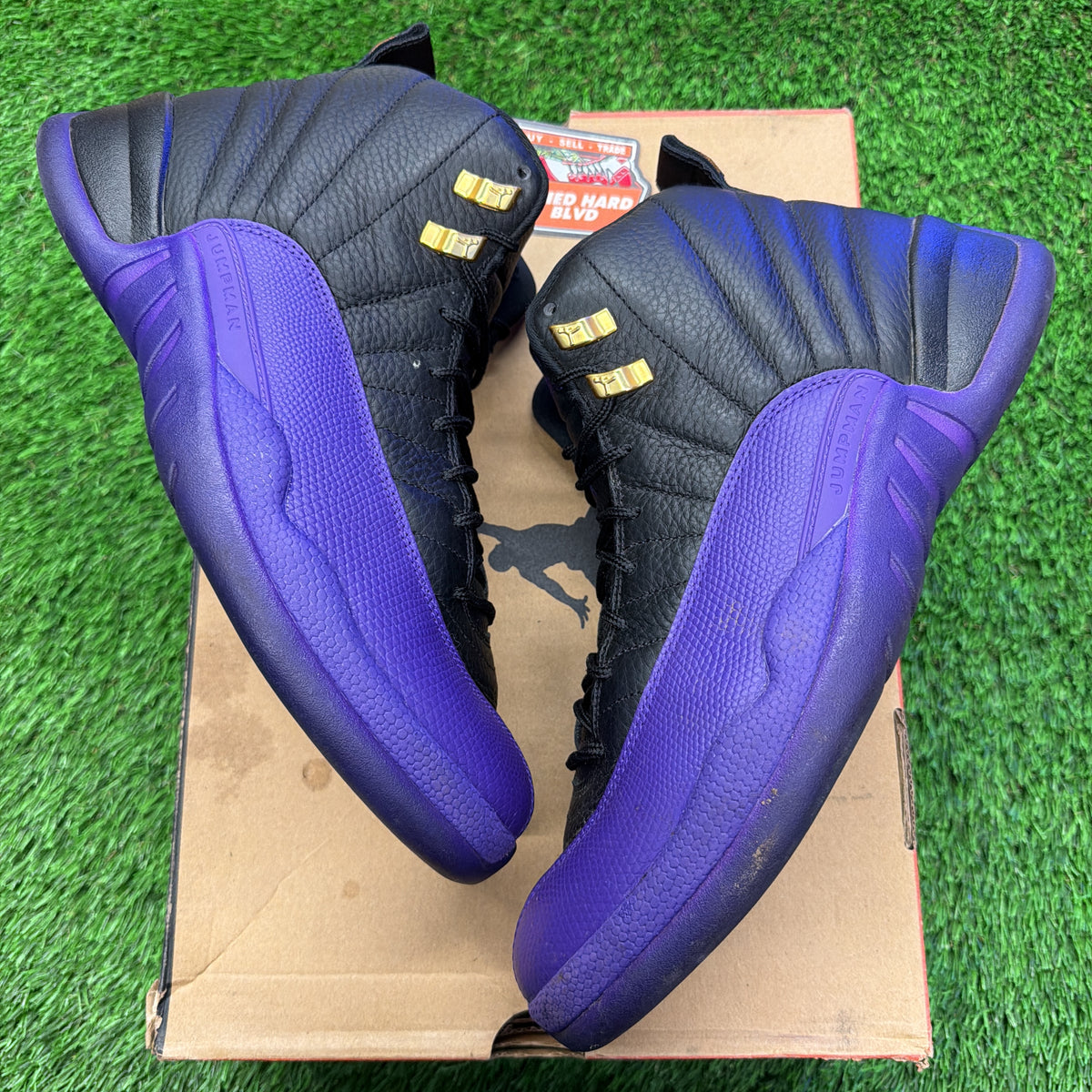 Jordan 12 Retro Field Purple