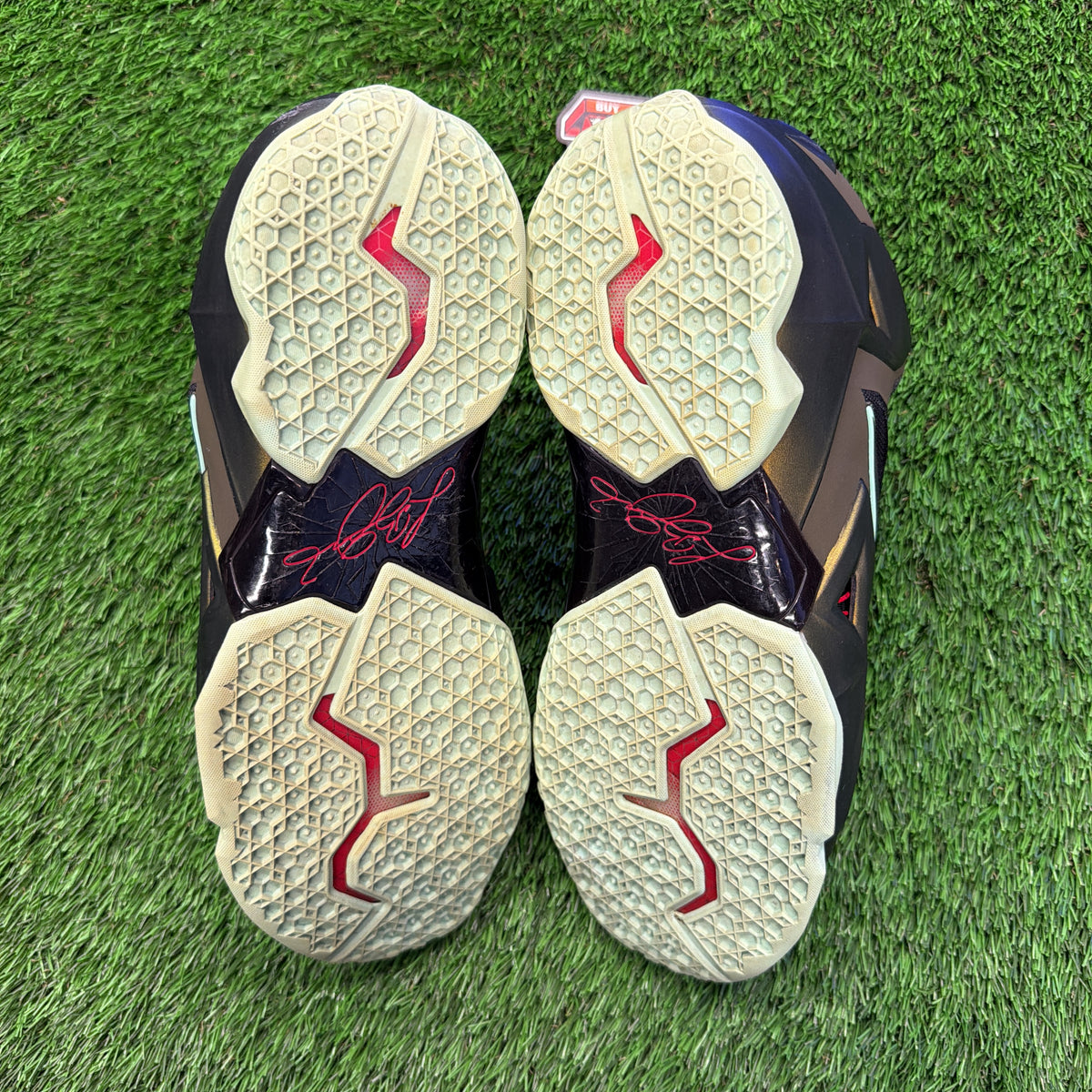 Nike LeBron 11 'King's Pride'