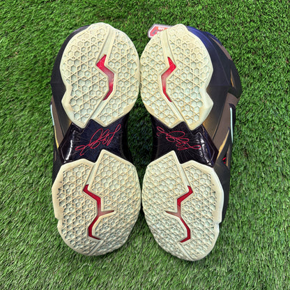 Nike LeBron 11 'King's Pride'