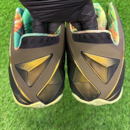 Nike LeBron 11 'King's Pride'