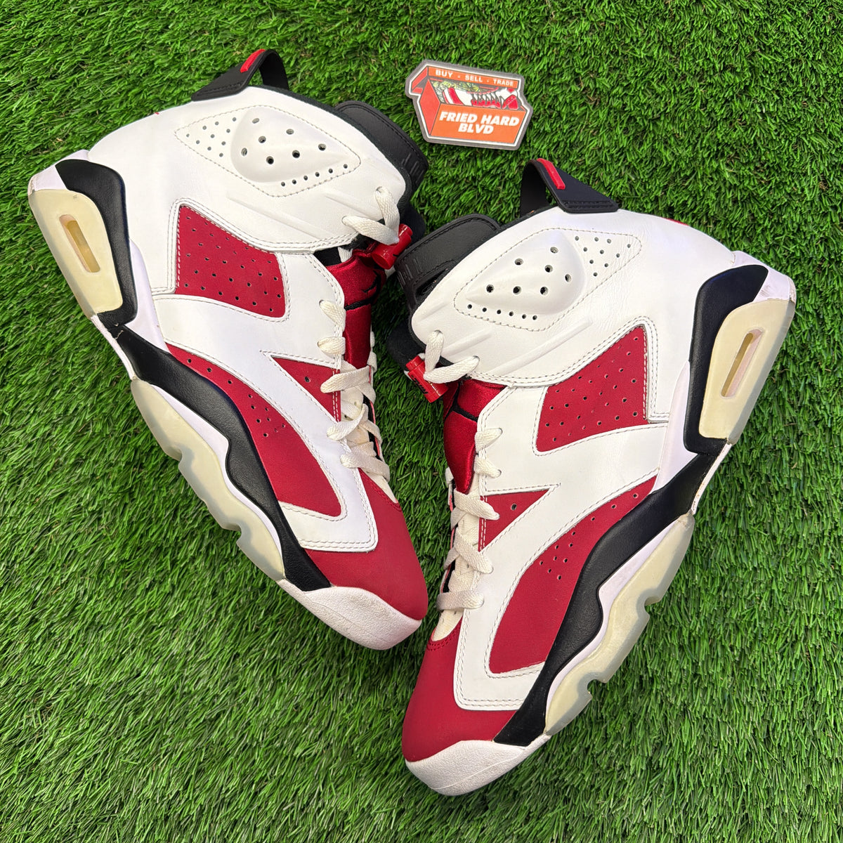 Jordan 6 Retro Carmine (2021)