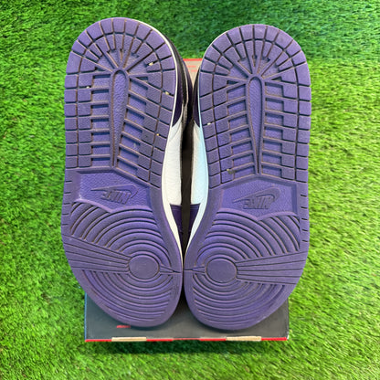 Air Jordan 1 Retro High OG 'Court Purple 2.0' SIZE 12M/13.5W