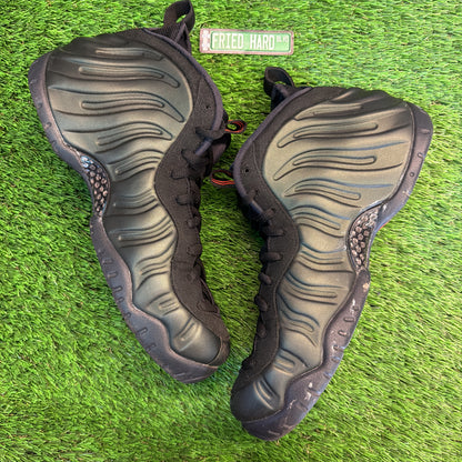 Nike Air Foamposite Pro 'Sequoia' SIZE 11.5M/13W