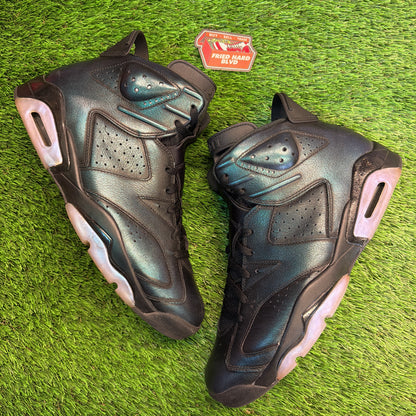 Air Jordan 6 Retro 'All Star - Chameleon' SIZE 12M/13.5W