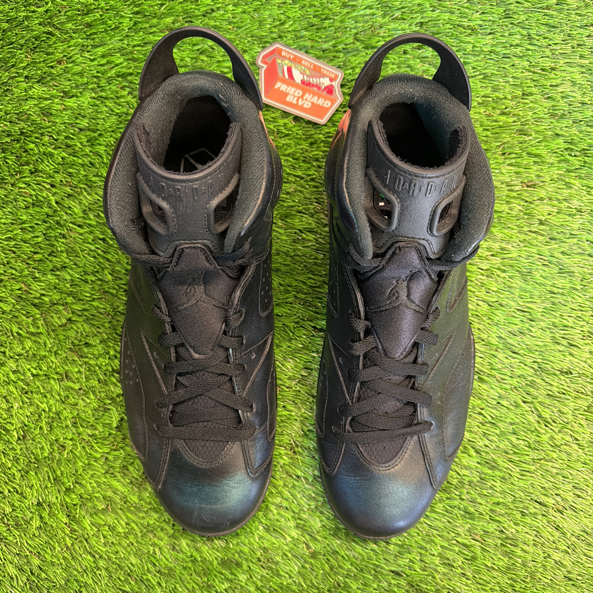 Air Jordan 6 Retro 'All Star - Chameleon' SIZE 12M/13.5W