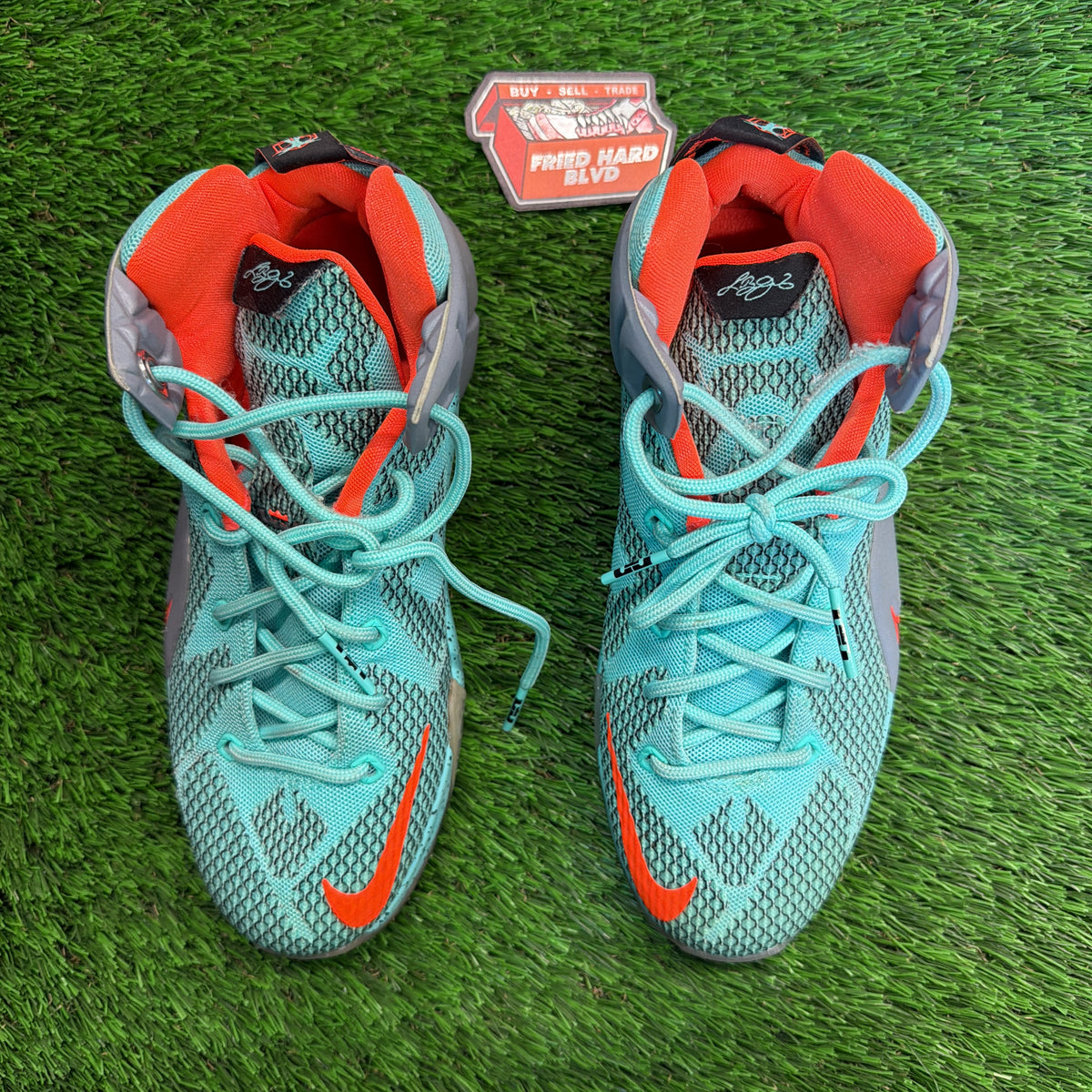 Nike LeBron 12 GS 'NSRL' SIZE 4.5Y/6W