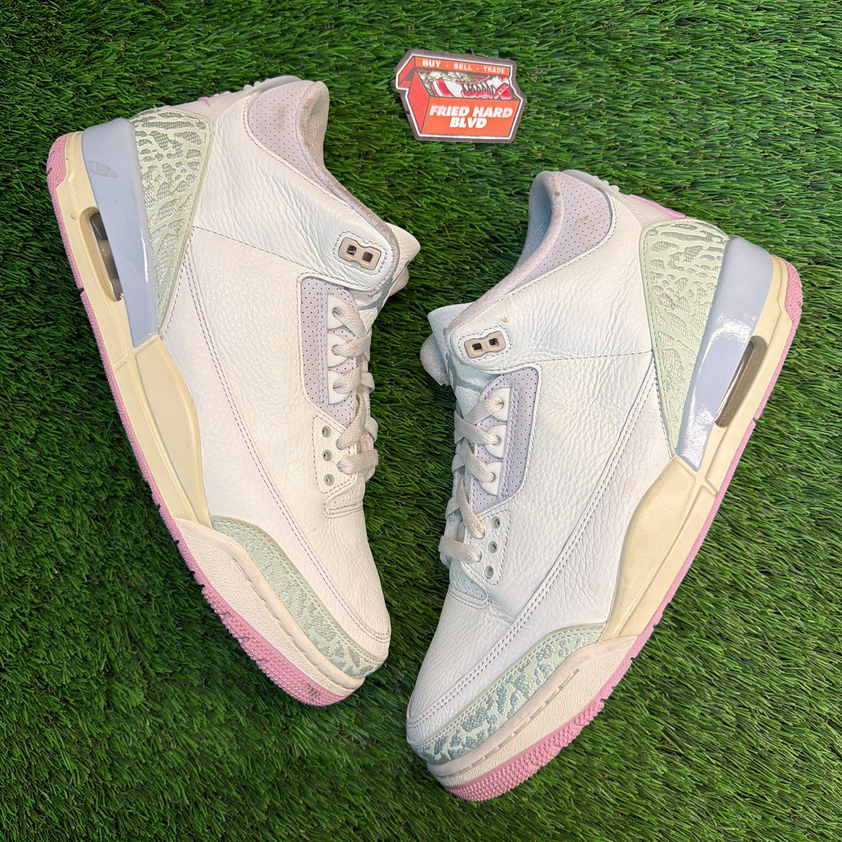 Air Jordan 3 Retro 'Spring is In The Air' SIZE 11M/12.5W